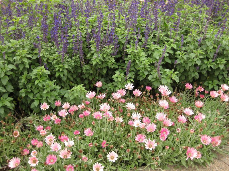 File:IMG 6849 hunt09jun.jpg