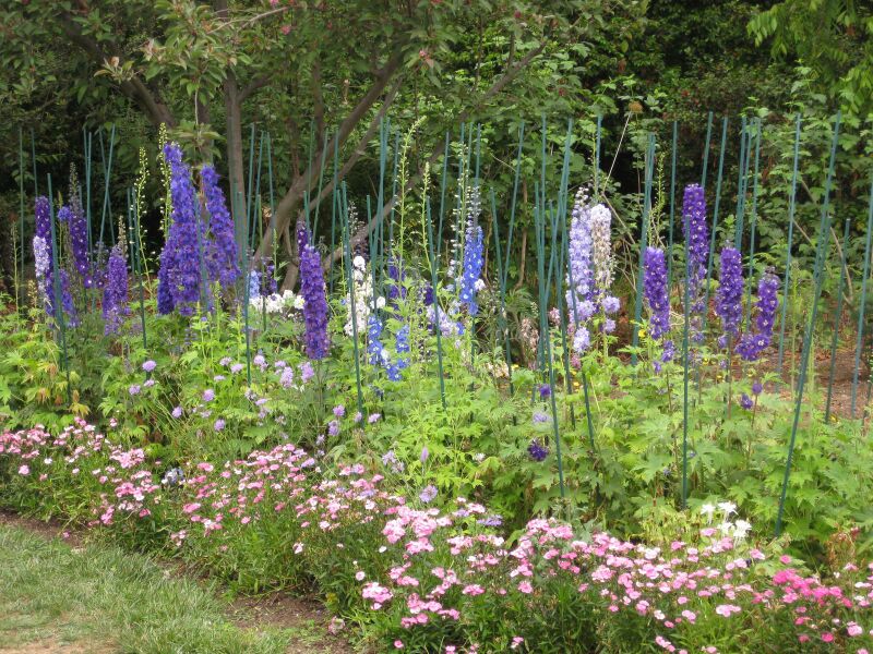 File:IMG 6850 hunt09jun.jpg