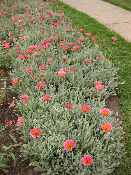 File:IMG 6853 hunt09jun.jpg