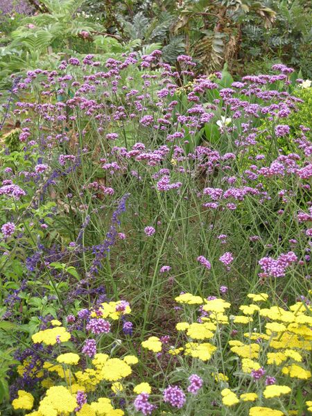 File:IMG 6856 hunt09jun.jpg