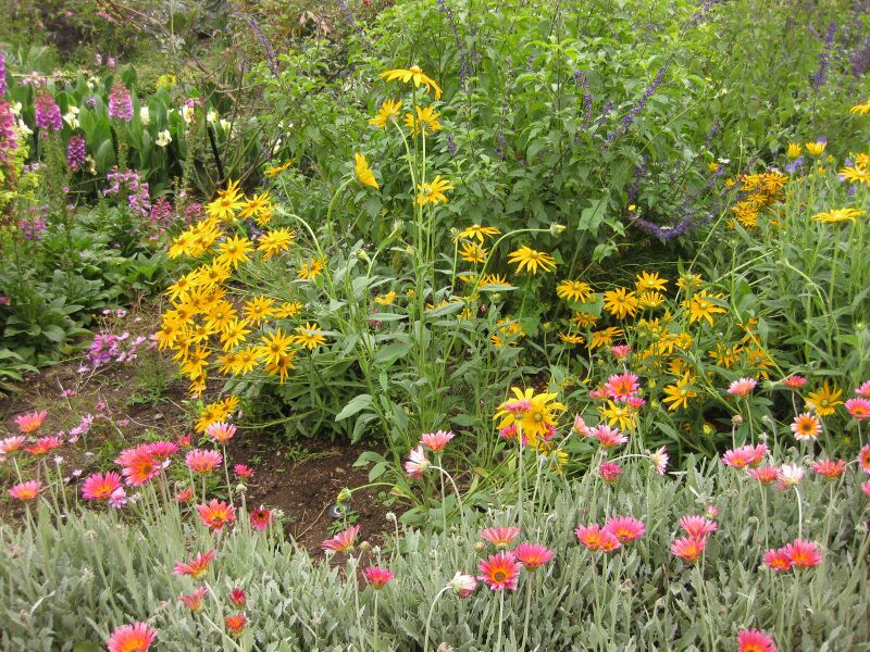 File:IMG 6858 hunt09jun.jpg