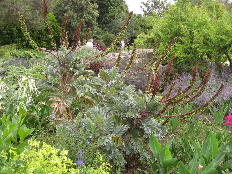 File:IMG 6863 hunt09jun.jpg