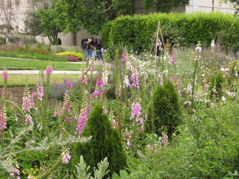 File:IMG 6877 hunt09jun.jpg