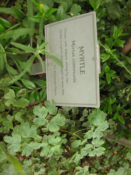 File:IMG 6895 hunt09jun.jpg