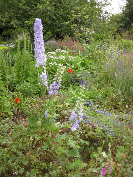 File:IMG 6909 hunt09jun.jpg