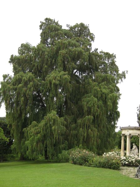 File:IMG 6914 hunt09jun.jpg