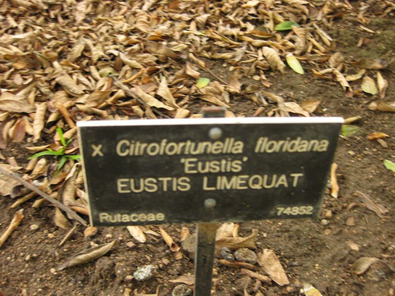 File:IMG 6922 hunt09jun.jpg