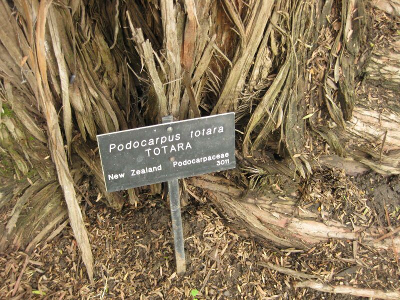 File:IMG 6927 hunt09jun.jpg