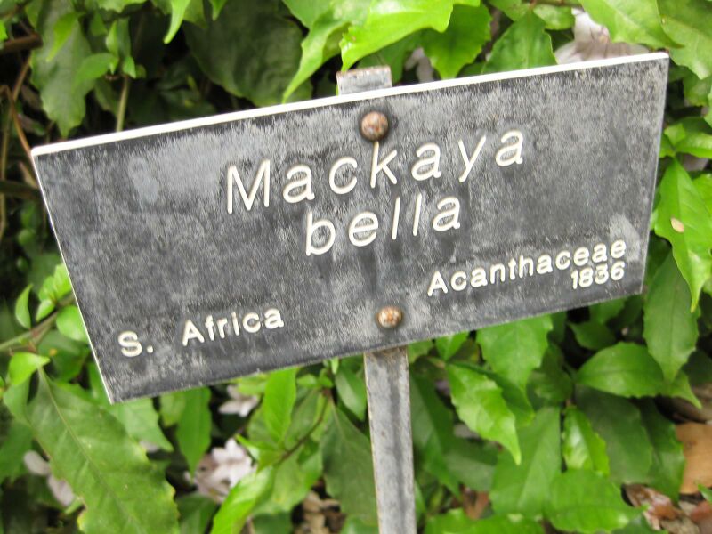 File:IMG 6930 hunt09jun.jpg