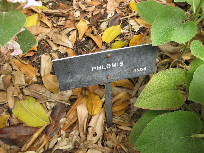 File:IMG 6933 hunt09jun.jpg