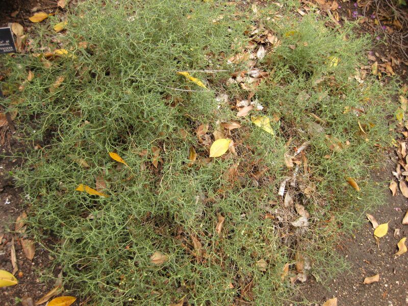 File:IMG 6937 hunt09jun.jpg