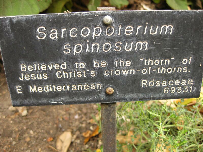 File:IMG 6940 hunt09jun.jpg