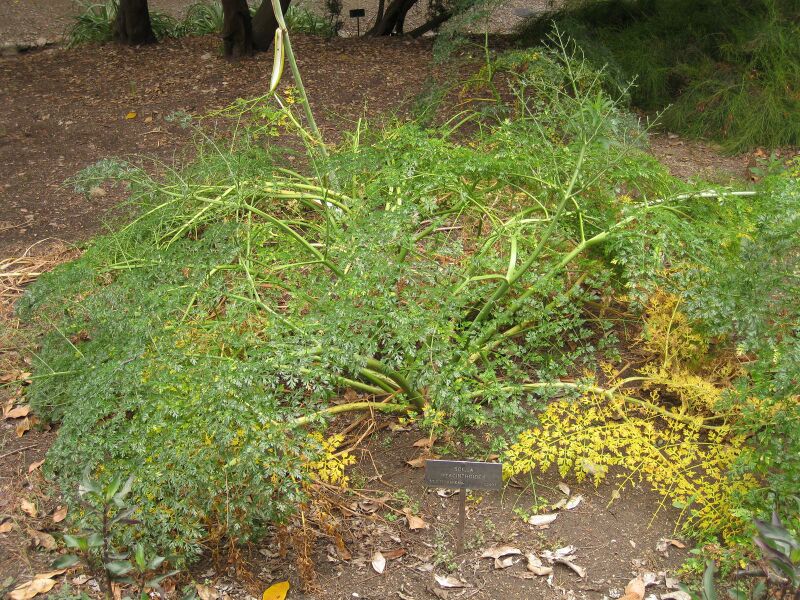 File:IMG 6942 hunt09jun.jpg