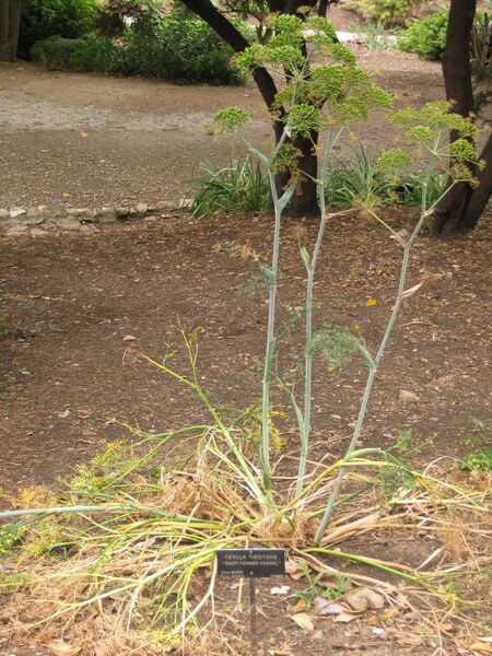 File:IMG 6943 hunt09jun.jpg