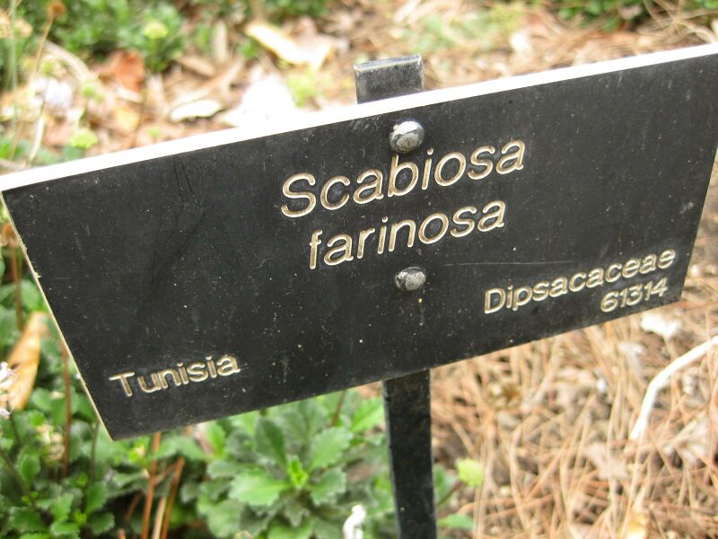 File:IMG 6947 hunt09jun.jpg