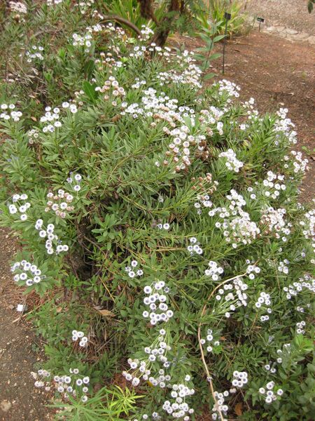 File:IMG 6953 hunt09jun.jpg