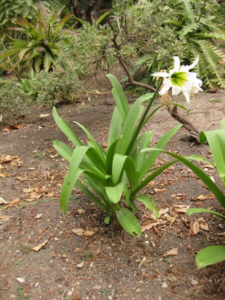 File:IMG 6962 hunt09jun.jpg