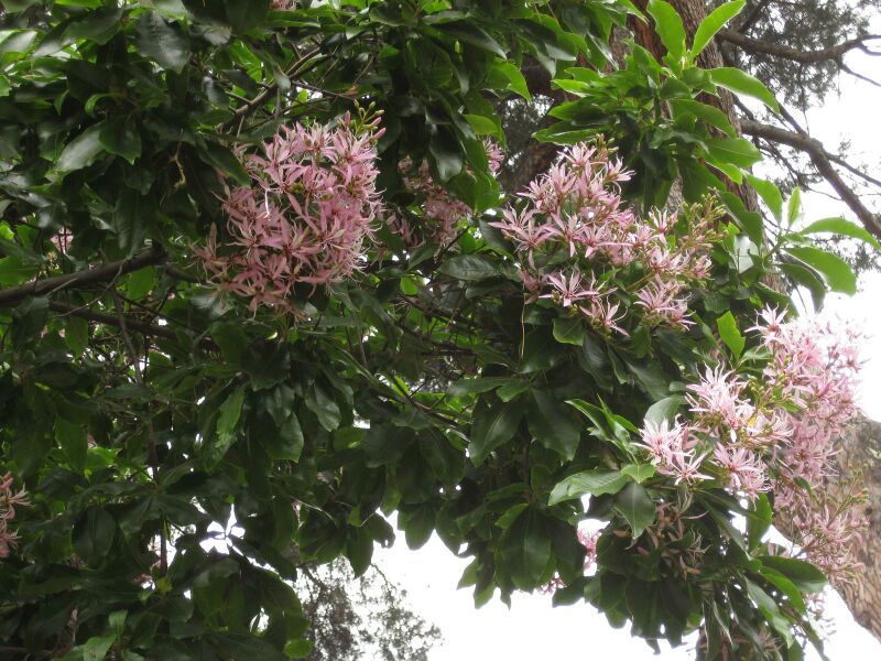 File:IMG 6971 hunt09jun.jpg