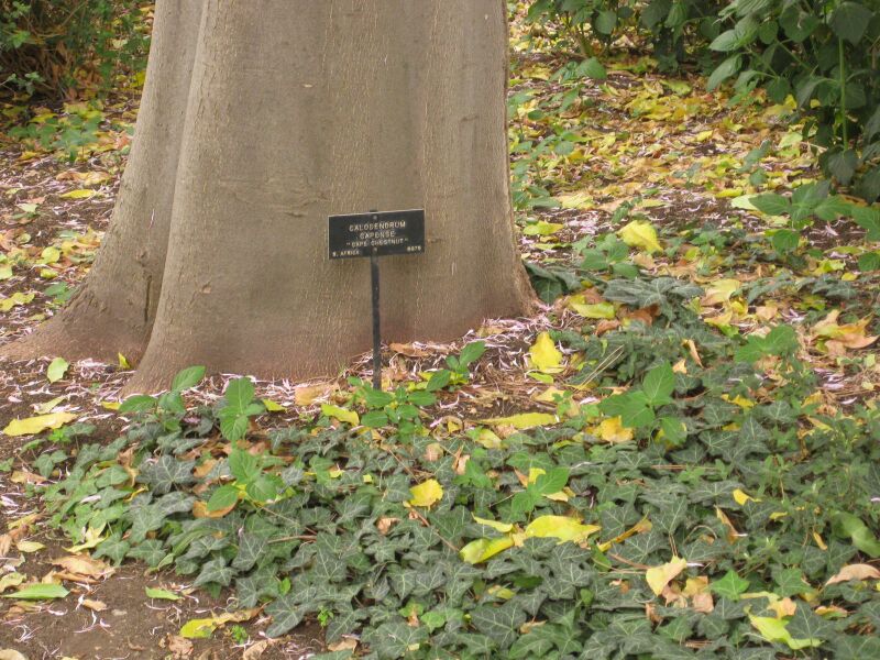 File:IMG 6973 hunt09jun.jpg