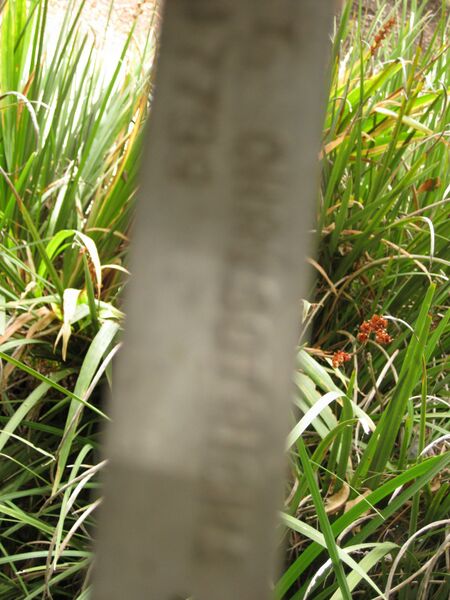 File:IMG 6979 hunt09jun.jpg