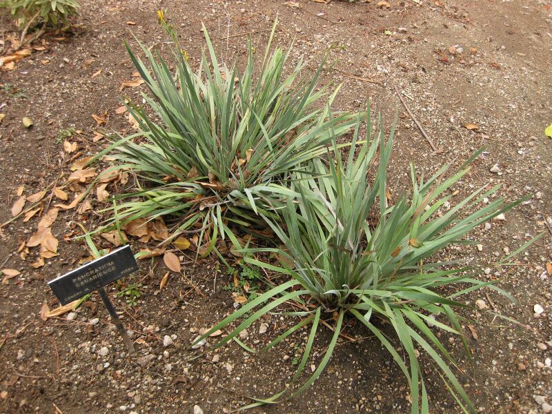 File:IMG 6983 hunt09jun.jpg