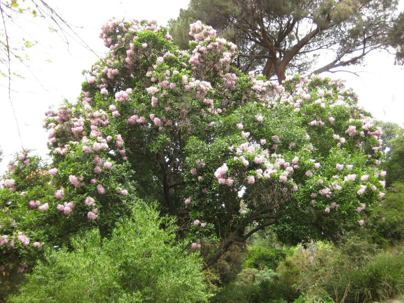 File:IMG 6988 hunt09jun.jpg