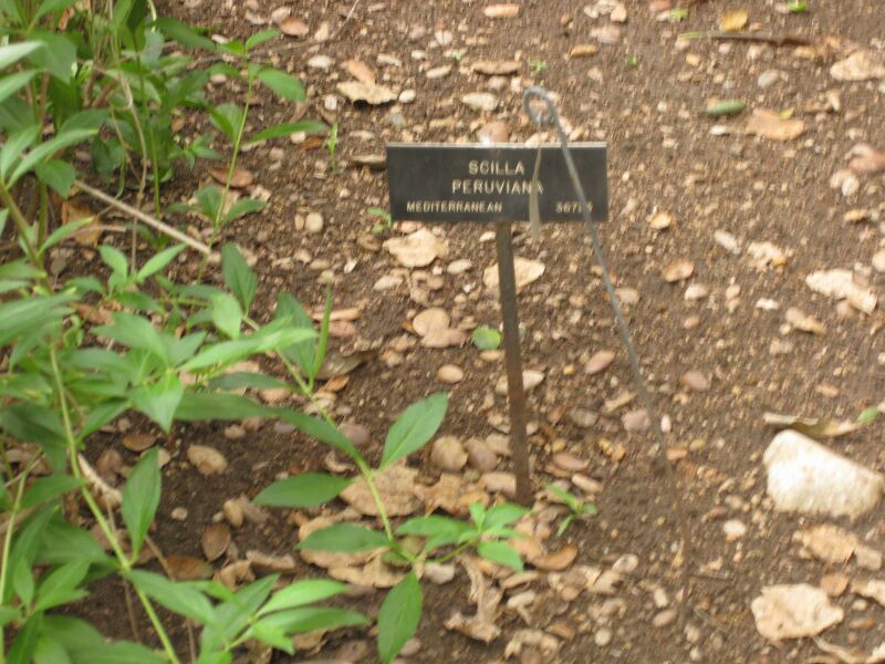 File:IMG 6993 hunt09jun.jpg