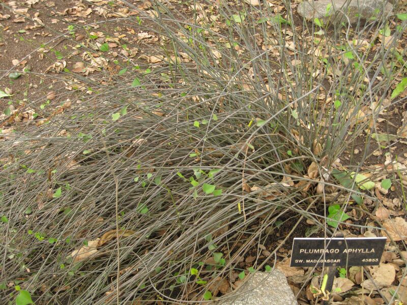 File:IMG 6995 hunt09jun.jpg