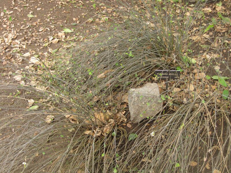 File:IMG 6996 hunt09jun.jpg