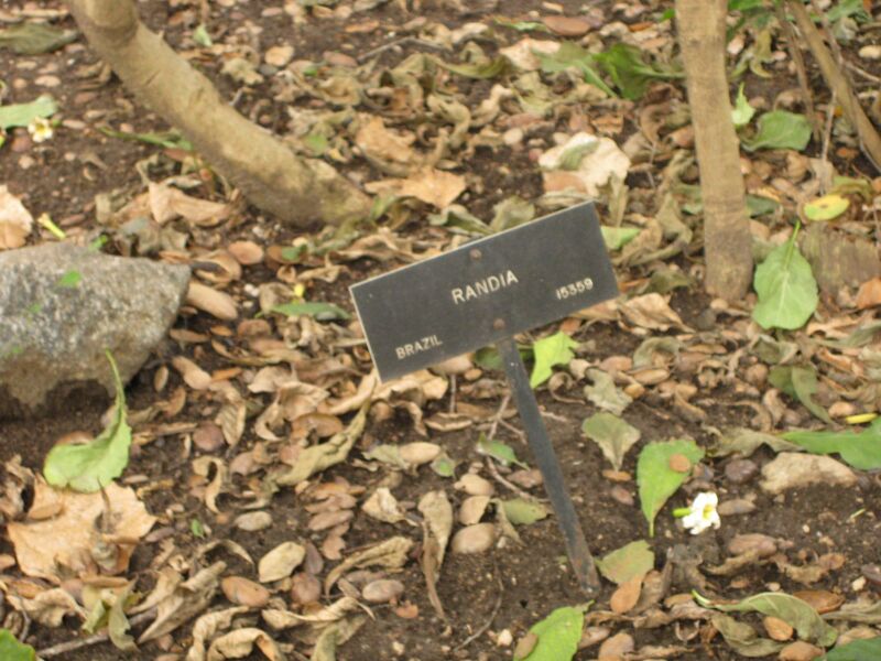 File:IMG 7001 hunt09jun.jpg