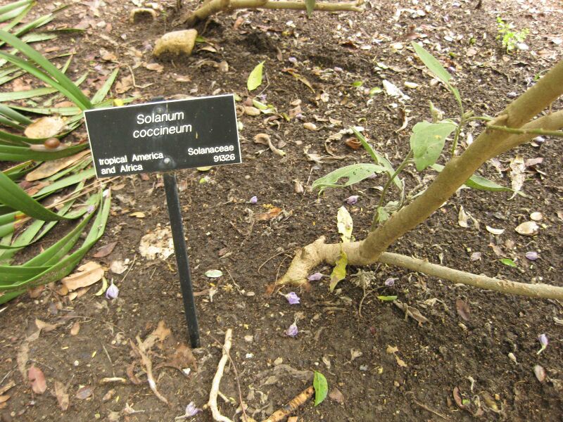 File:IMG 7014 hunt09jun.jpg