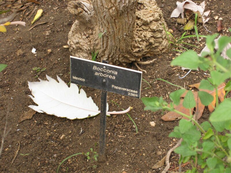 File:IMG 7038 hunt09jun.jpg