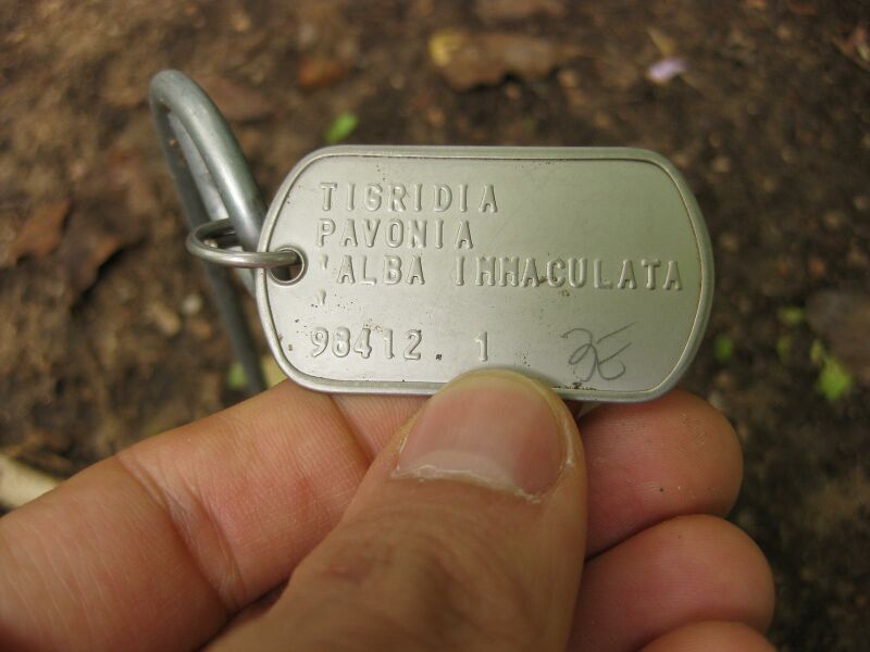 File:IMG 7043 hunt09jun.jpg