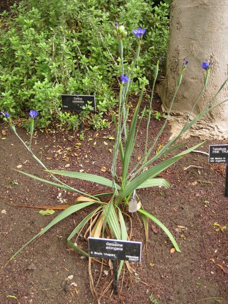 File:IMG 7058 hunt09jun.jpg