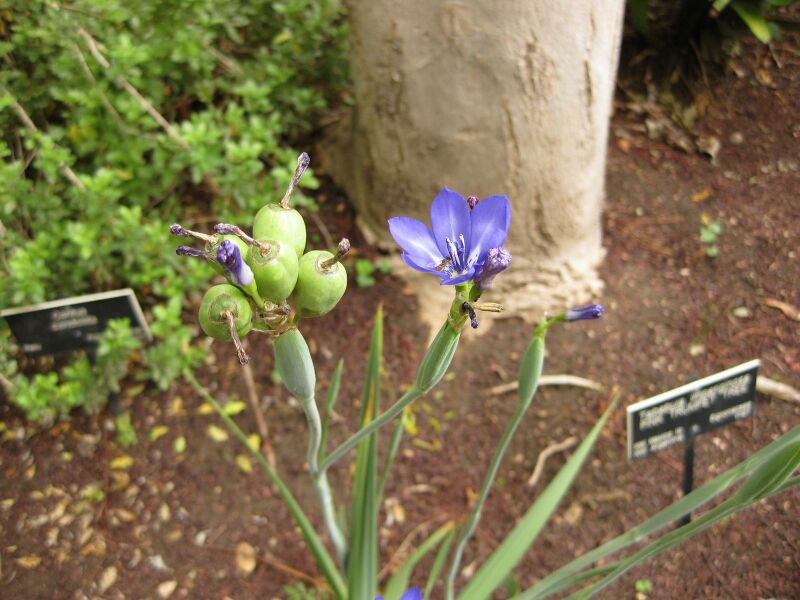 File:IMG 7059 hunt09jun.jpg