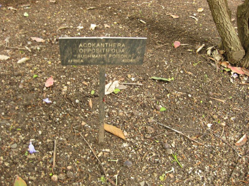 File:IMG 7087 hunt09jun.jpg