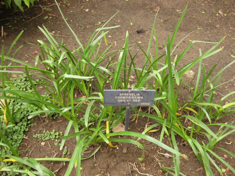 File:IMG 7090 hunt09jun.jpg