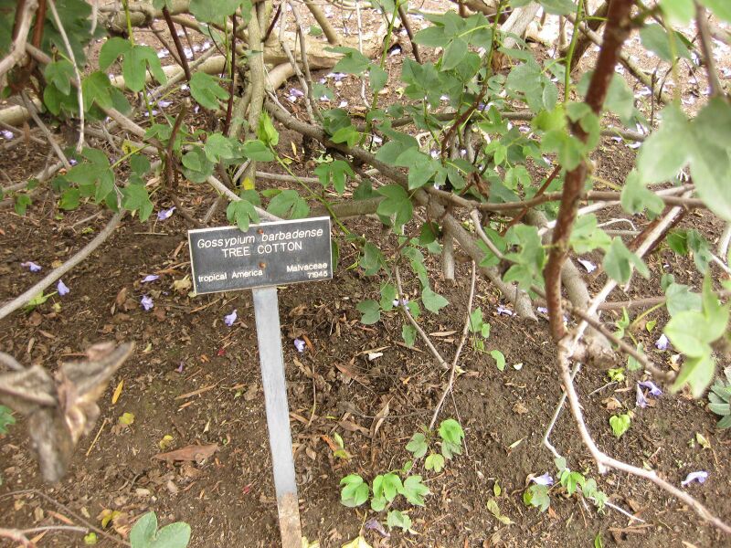 File:IMG 7105 hunt09jun.jpg