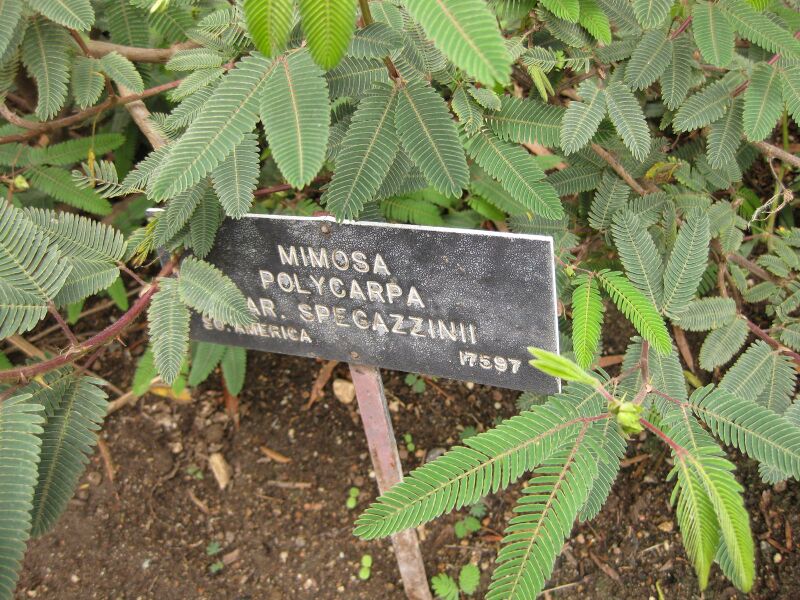 File:IMG 7107 hunt09jun.jpg