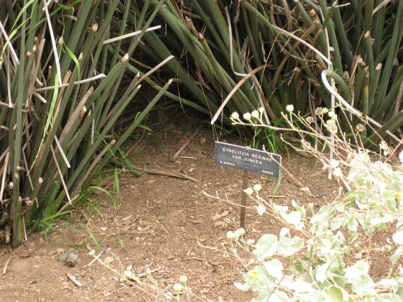 File:IMG 7132 hunt09jun.jpg