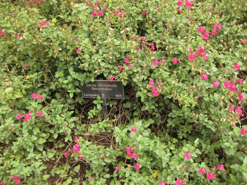 File:IMG 7135 hunt09jun.jpg