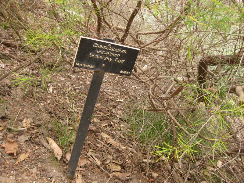 File:IMG 7138 hunt09jun.jpg