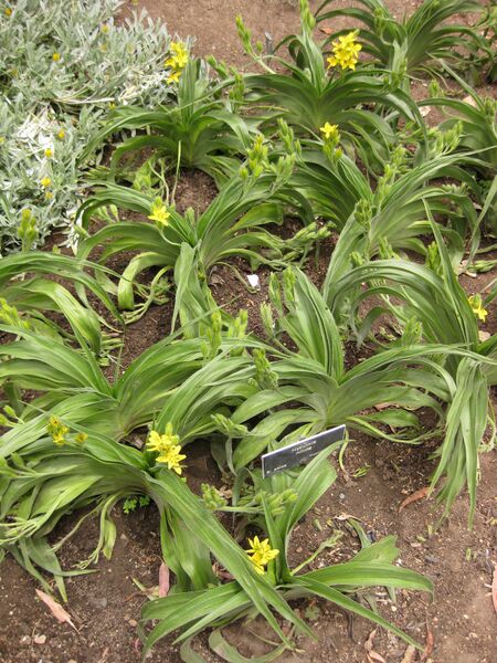 File:IMG 7162 hunt09jun.jpg