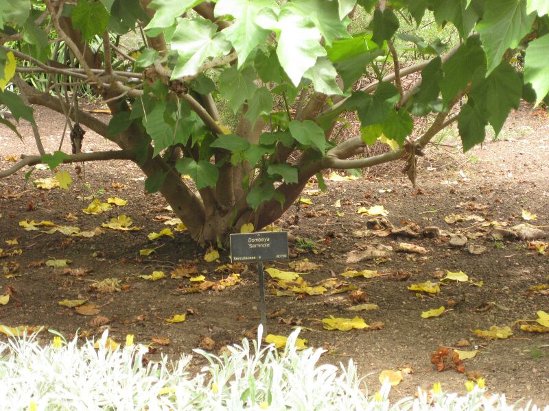 File:IMG 7173 hunt09jun.jpg