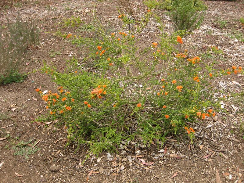 File:IMG 7176 hunt09jun.jpg