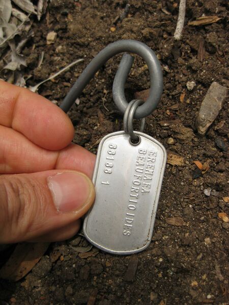 File:IMG 7178 hunt09jun.jpg