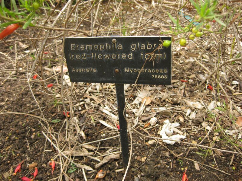 File:IMG 7182 hunt09jun.jpg