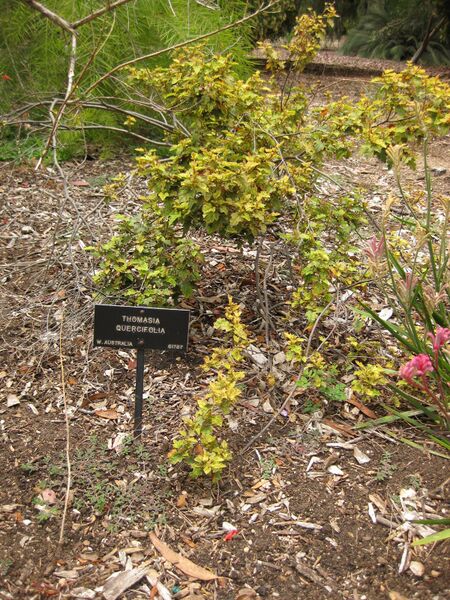 File:IMG 7183 hunt09jun.jpg