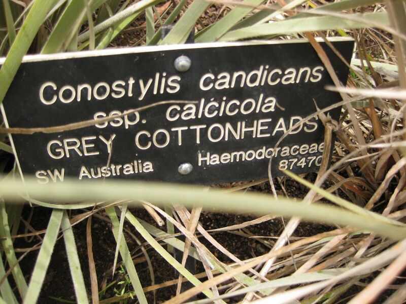 File:IMG 7186 hunt09jun.jpg