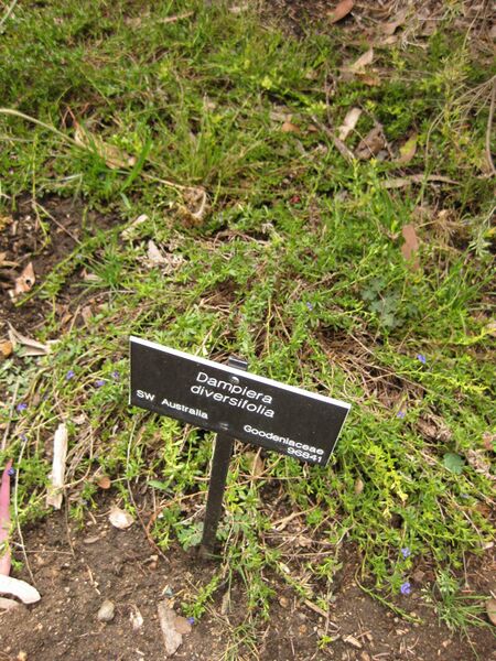 File:IMG 7187 hunt09jun.jpg